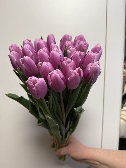 ТЮЛЬПАНИ Оптом та  Роздріб на 8 Березня!