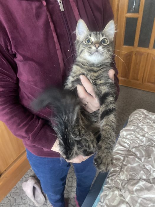 Лучший родарочек