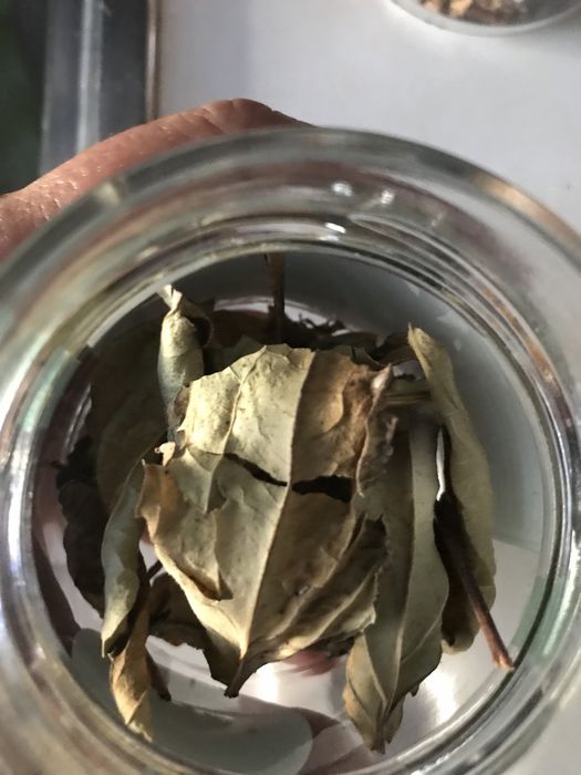 Chas e aromáticas, cidreira, menta, louro (secas ou desidratadas)