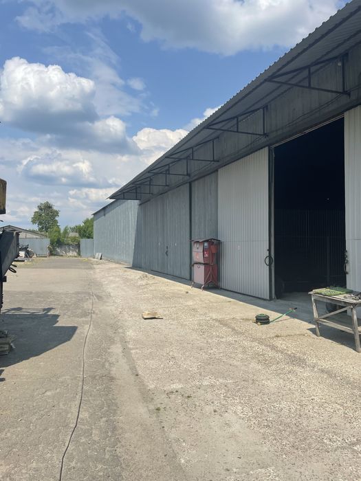 Здам ангар в оренду