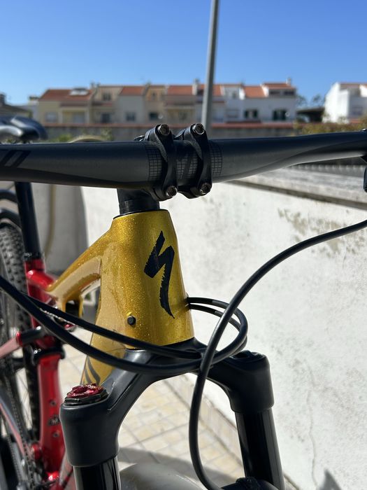 Specialized Epic Expert