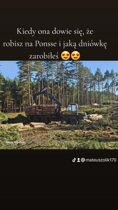 Profesjonalne Usługi Leśne  – Bytów I okolice