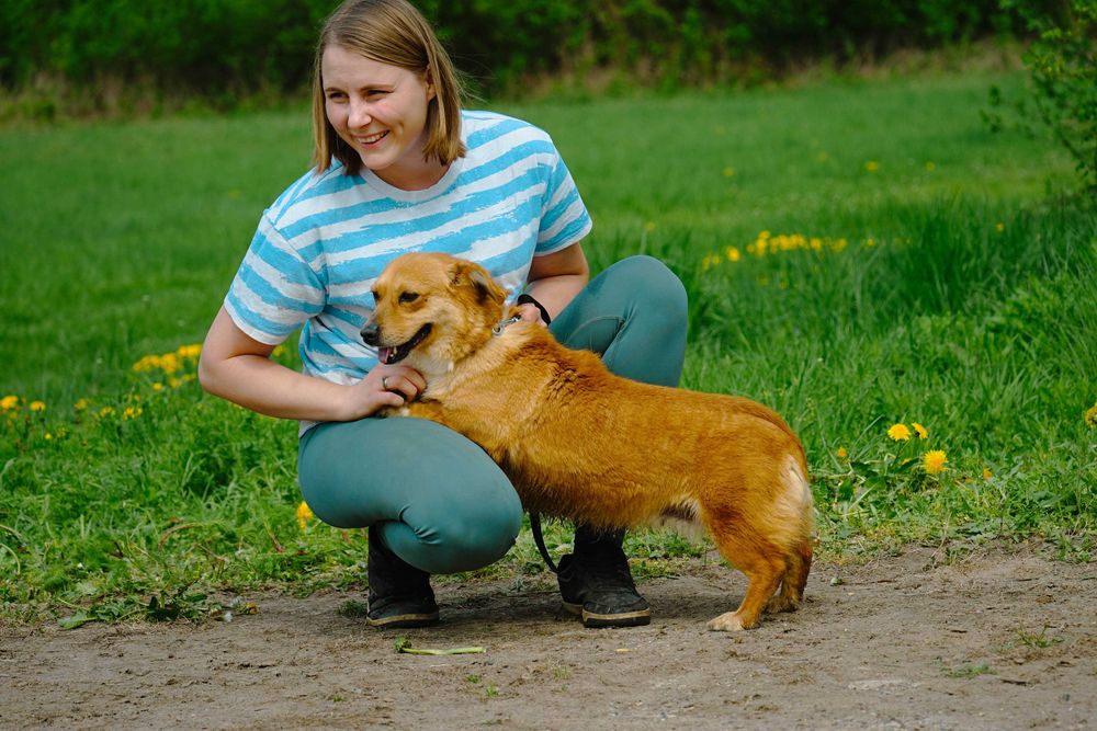 MIKA - cudowna, mała ruda sunia prosi o dom