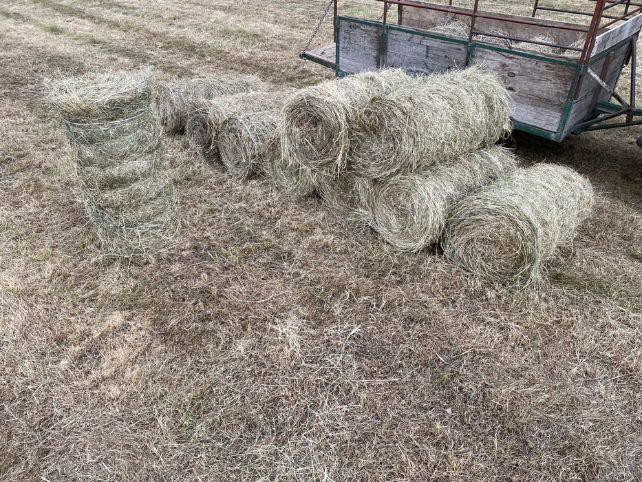 Siano mini rolki 23 kg – TANIO  Siano tegoroczne rolki +\- 23 kilo wagi