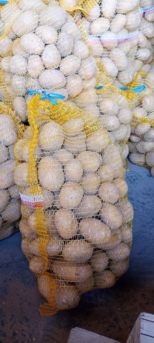 Ziemniaki ekologiczne soraya  certyfikat