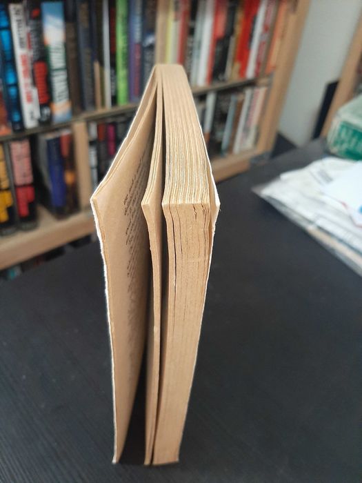 Richard Brautigan – Sombrero Fallout: A Japanese Novel