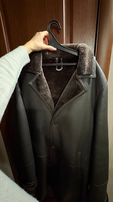 Дублянка крутезна зимова