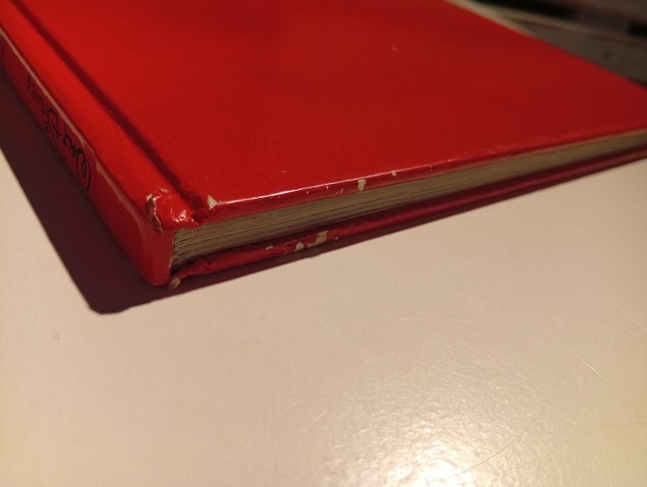 Król Lew książka Disney z 1994 roku