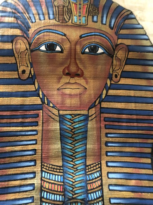 Egyptian Papyrus with Box and Frame64586075565443122