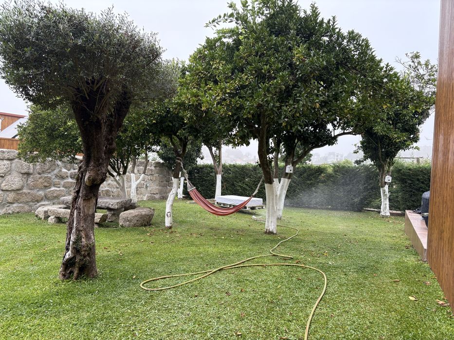 Quintinha com 3 habitaçoes independentes novas