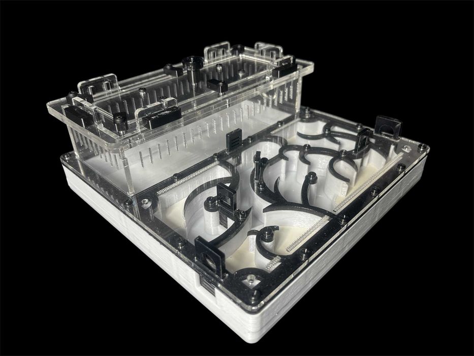 Купити мурашину ферму в Україні — формикарій з екзотичними мурахами