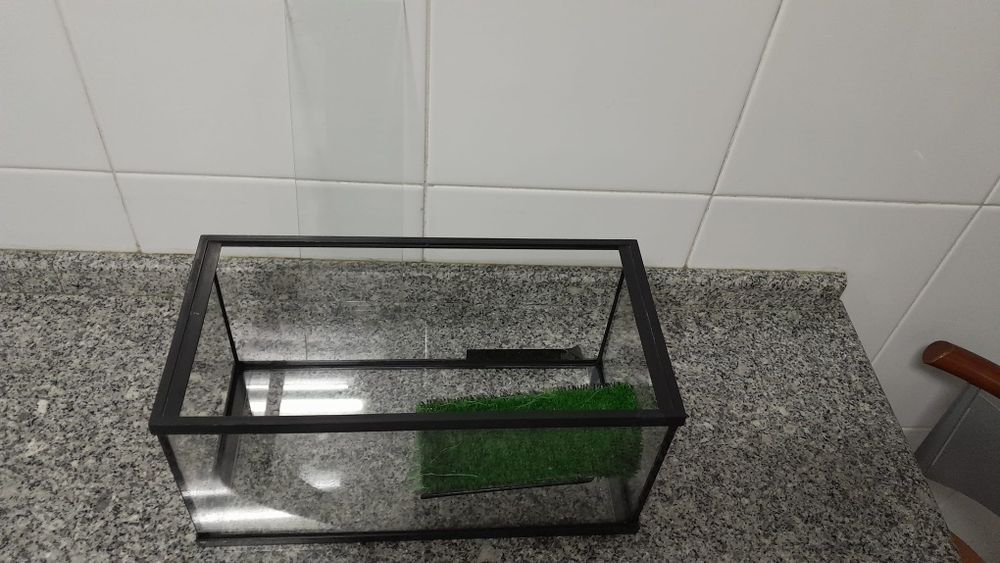 Aquário para tartaruga/cágado e com proteção em vidro.