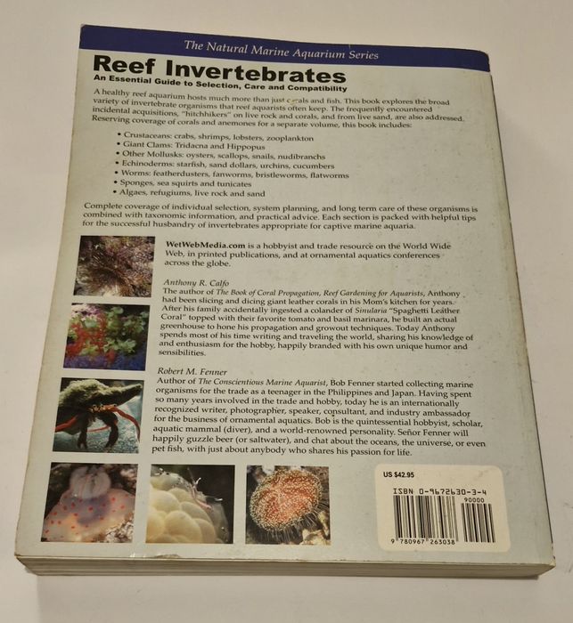 Reef Invertebrates
