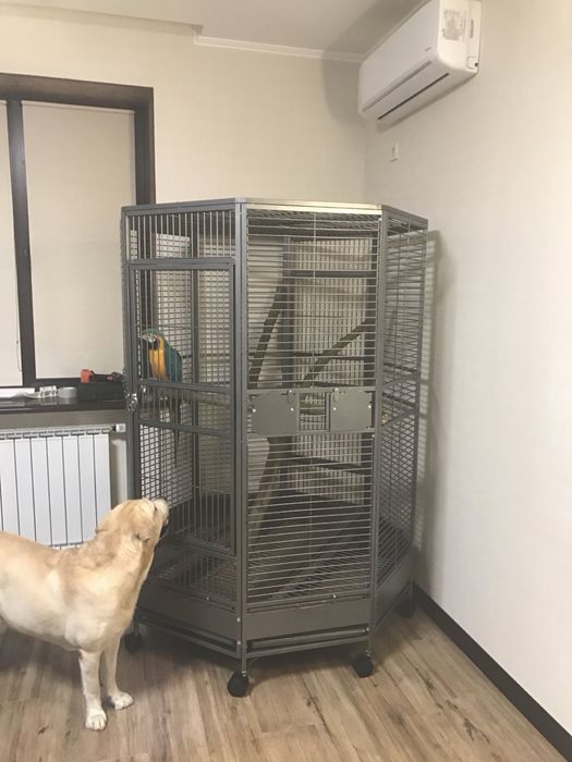 Великий кутовий вольєр для папуг (Ара, Жако, Какаду)