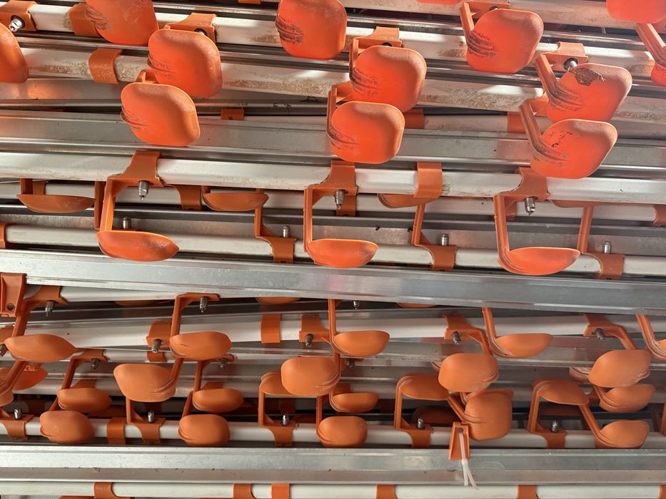 Poidła dla kur 880m