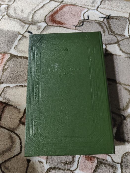 Іван Ле роман міжгір'я