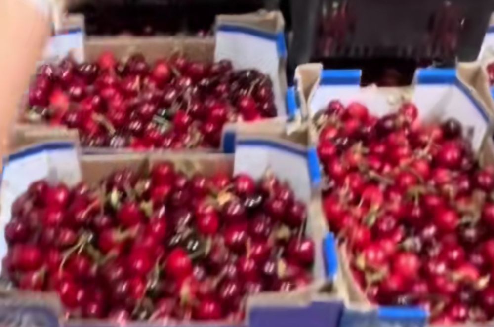 Caixas de cerejas otima qualidade para entrega