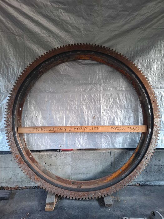 Wieniec Zębaty Nowy