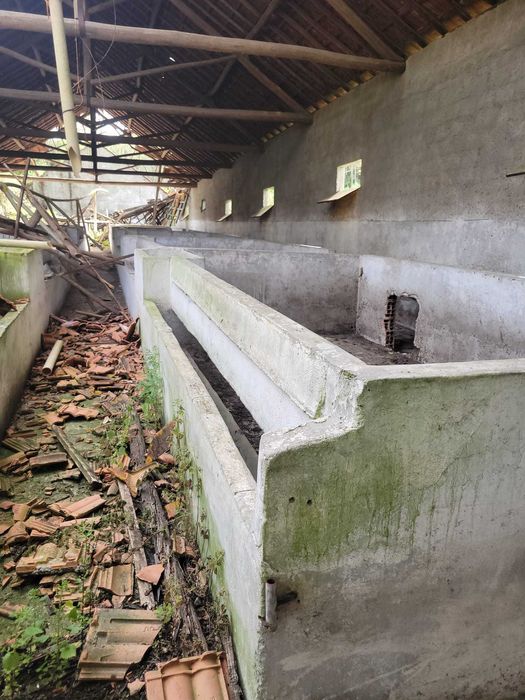 Quinta Urbano + Rústico - Vale Verde - Tremês - Santarém 19,5ha