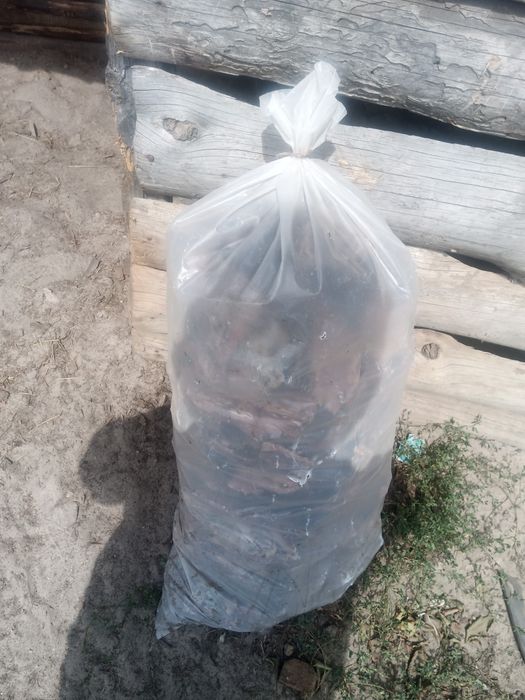 Продам сосновую кору