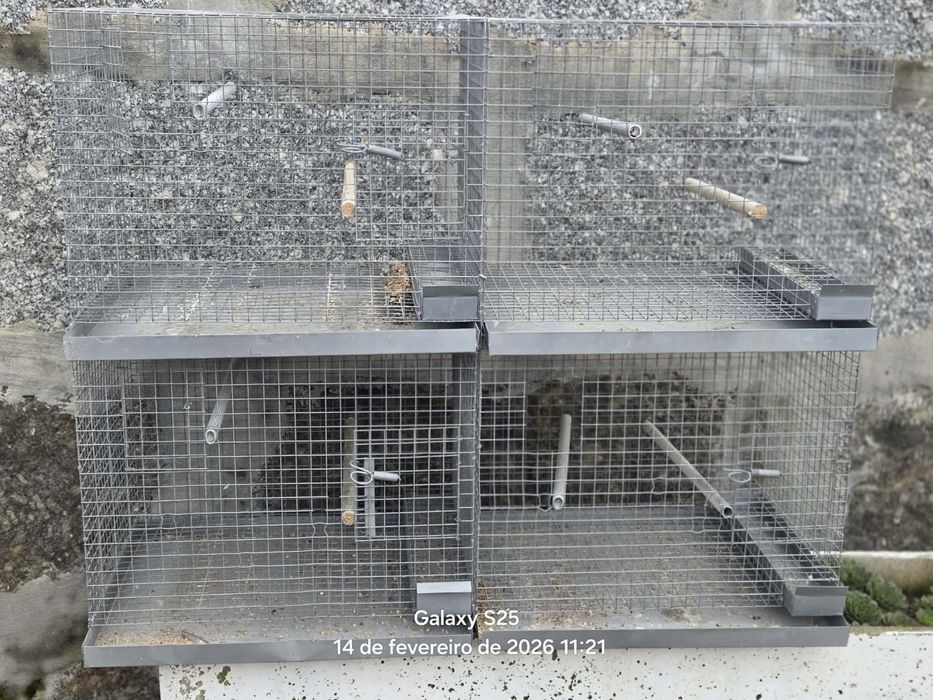 Gaiolas de criacao + oferta de ninhos