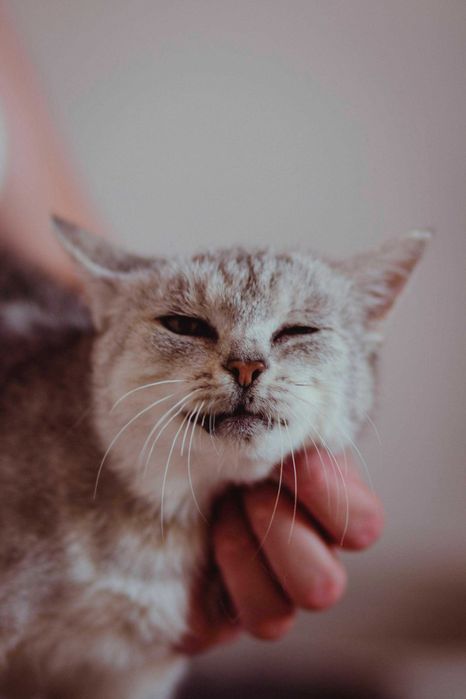 Paula seniorka z wielkim sercem