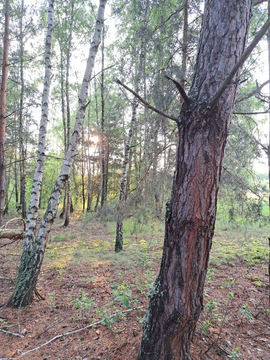 Działka budowlana