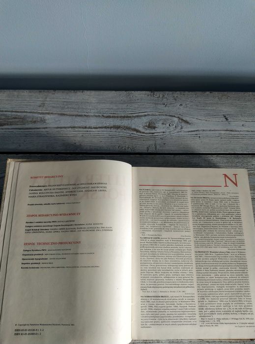 Książka: Literatura Polska, Przewodnik encyklopedyczny tom 2, PWN1985,