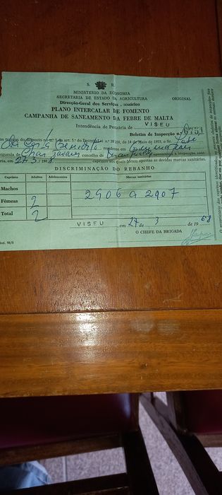 Documentos antigos variados