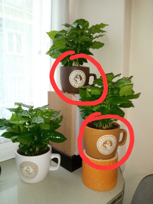 Osłonka na doniczkę