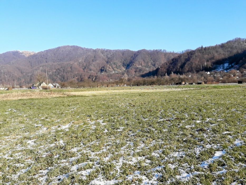 Земельна ділянка в Карпатах