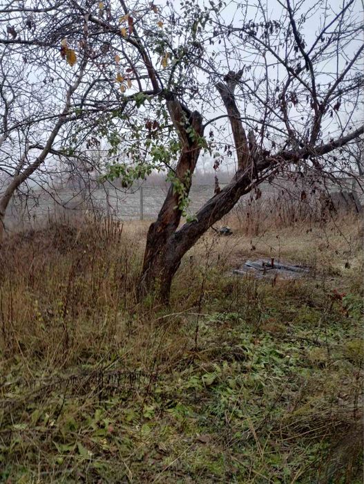 Продається половина будинку Селище Миколаївка