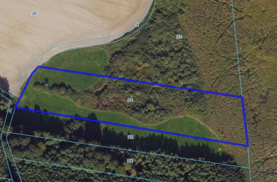 Łąka w Rgielsku gm. Wągrowiec