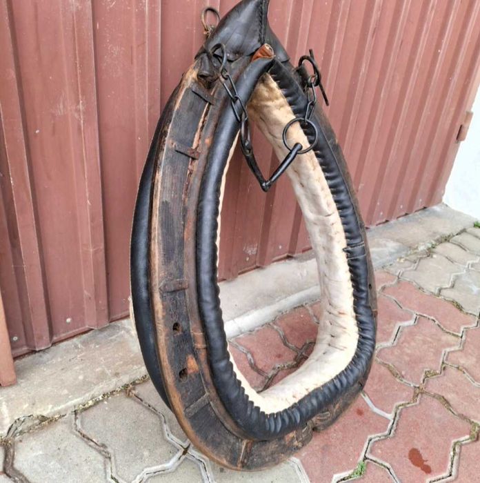 Chomąto na konia