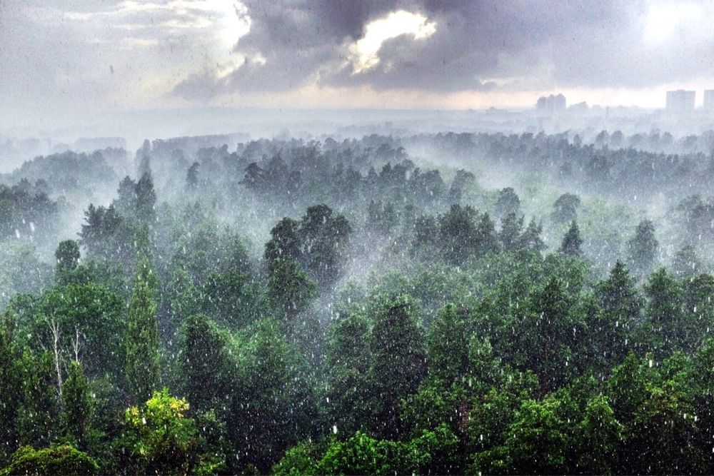 3-rooms apartment apartment by the address st. Anatoliya Petritskogo (area 93,7 m²) - Atlanta.ua - photo 6