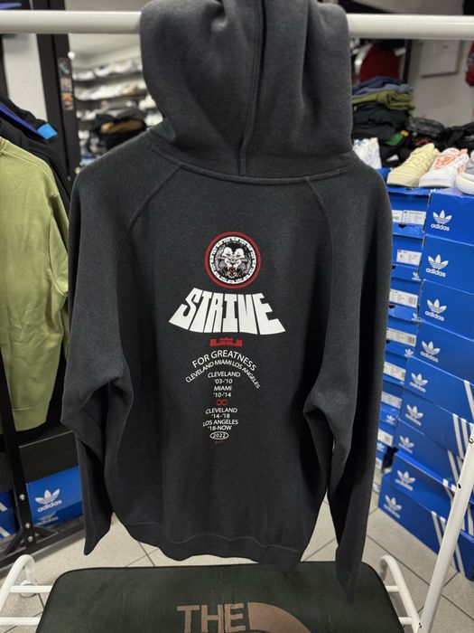 Худи мужское Nike Lebron Pullover Basketball Hoodie Grey DQ6129-032