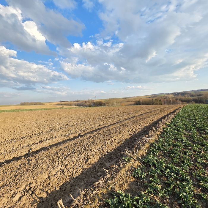 Uzbrojona działka rolno-budowlana 1,02 ha /Media w działce /Więckowice - Więcej