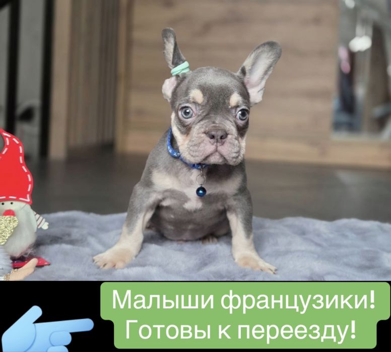 Французики мини стандарт