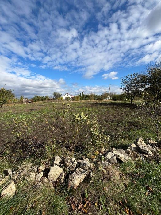 Земельна ділянка