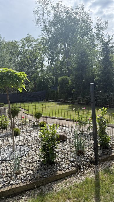 Dzialłka Rod Bielniki