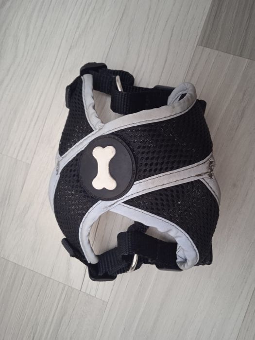 Ошийник Pets для маленької собачки