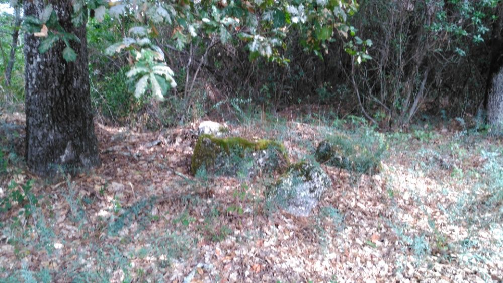 Terreno em Silgueiros (VISEU) com 45mil m2