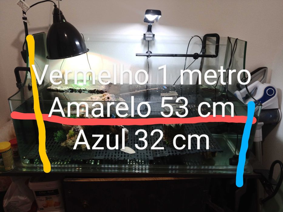 Aquário para tartarugas