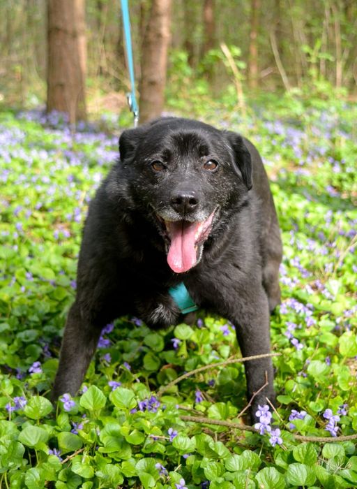 Czarny, brzydki, nikt mnie nie chce