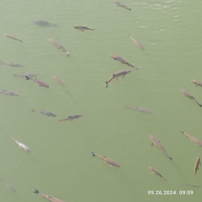 Земельна ділянка 20 соток