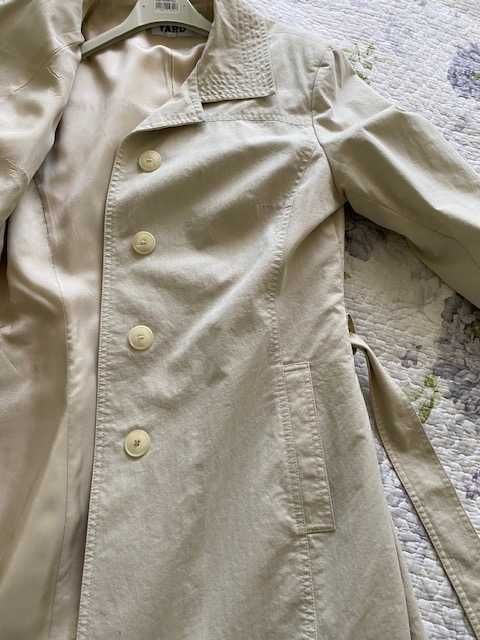 Prochowiec na wiosnę.