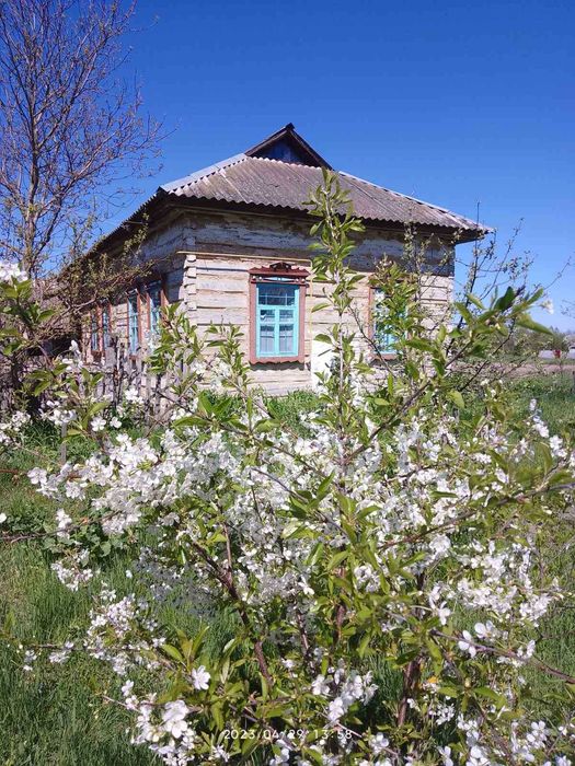 Продам будинок у селі Слабин
