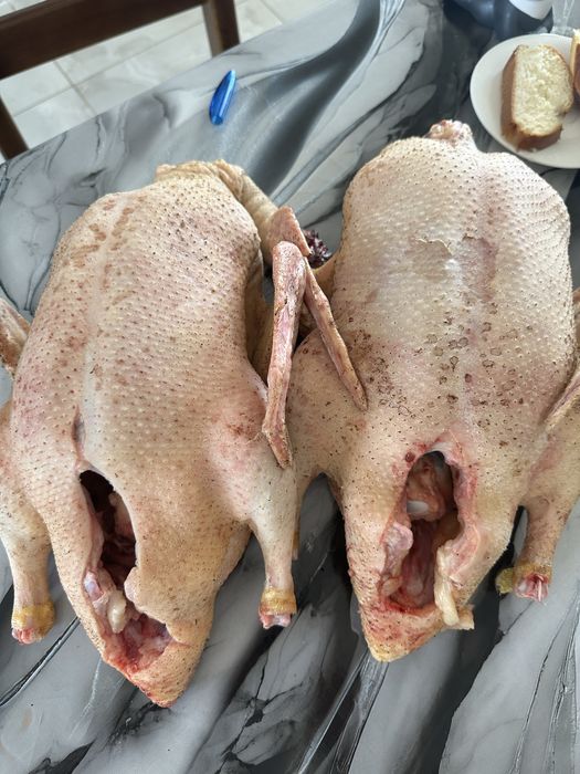 Продам домашних броллерных курей уточек кроликов