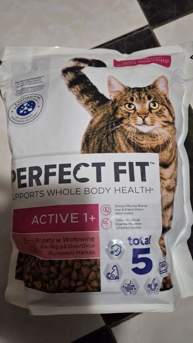 Karma sucha dla kota