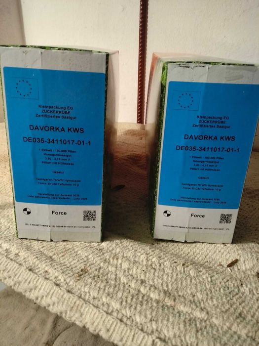 Nasiona buraka cukrowego KWS Davorka !!!